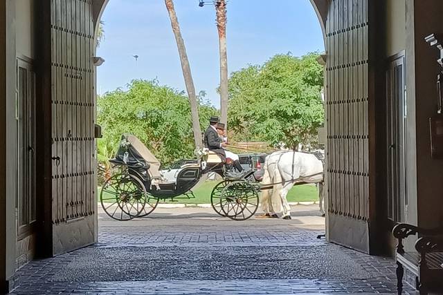 Entrada carruajes