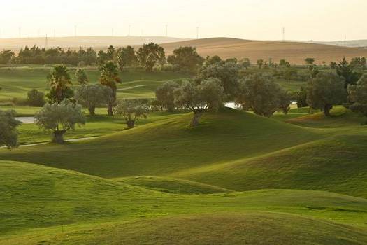 Campos de golf