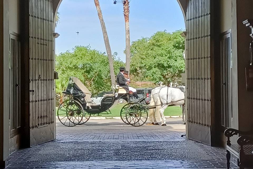 Entrada carruajes