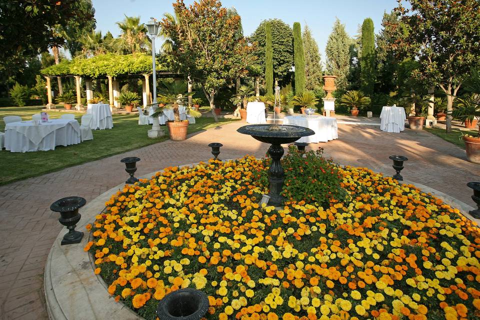 Copa de bienvenida jardin