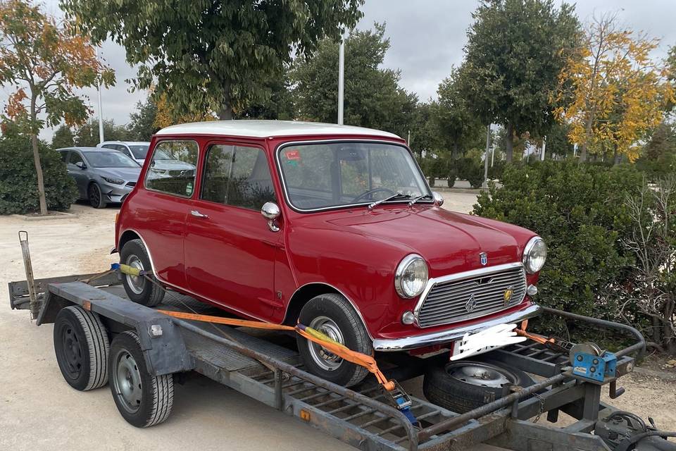 Austin mini