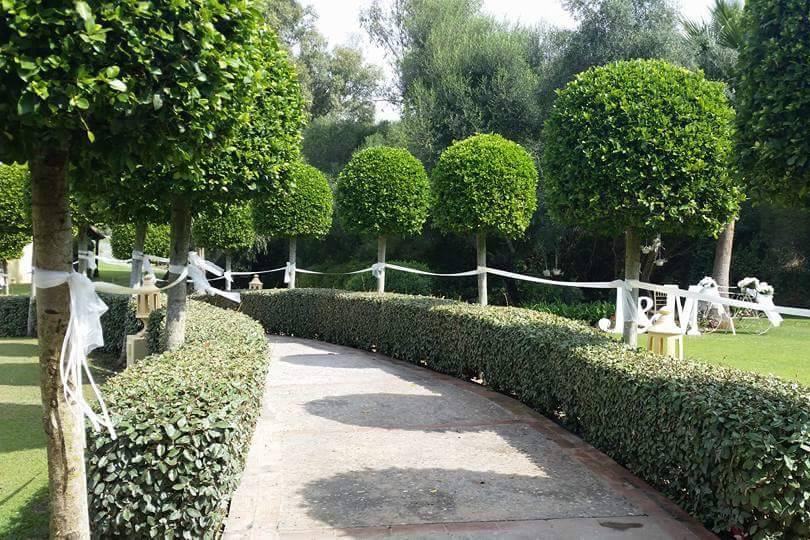 Pasillo con lazo árbol a árbol