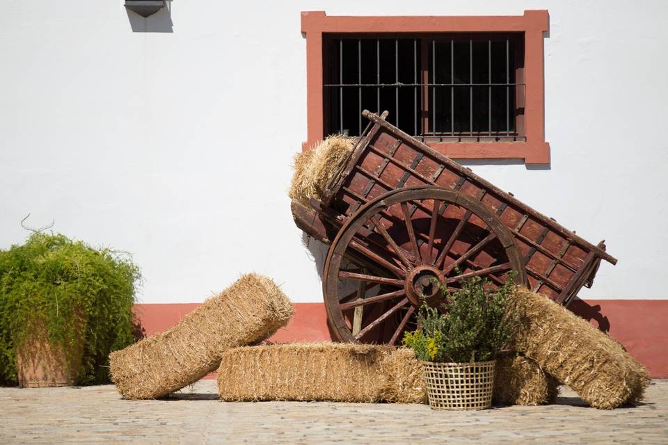 Cortijo El Chamorro