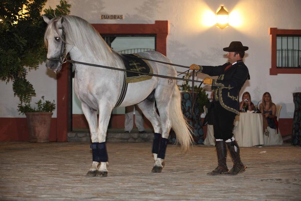 Cortijo El Chamorro