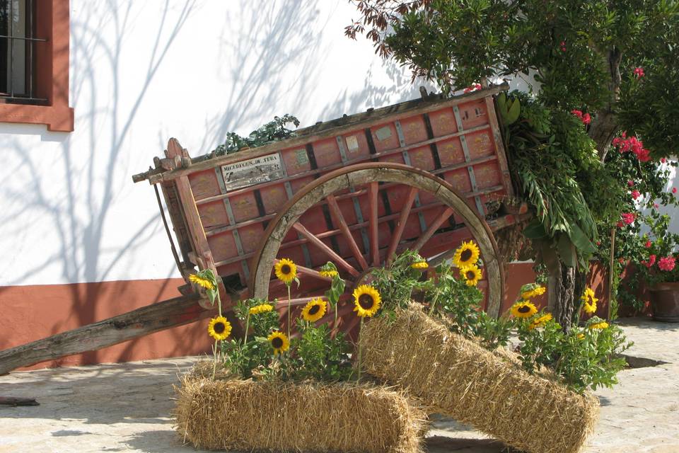 Cortijo El Chamorro