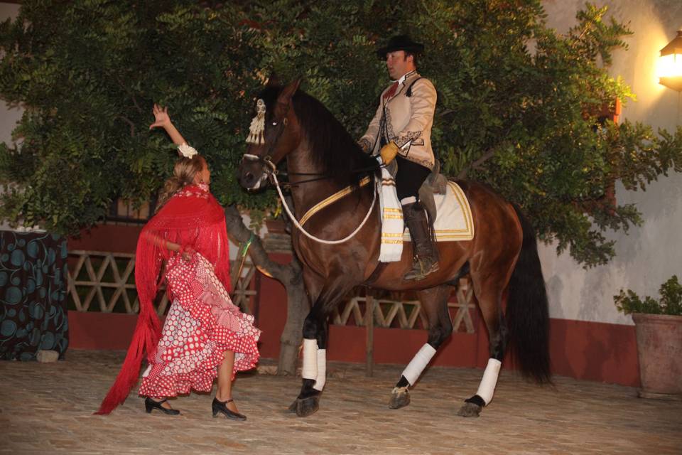 Espectaculo ecuestre-flamenco