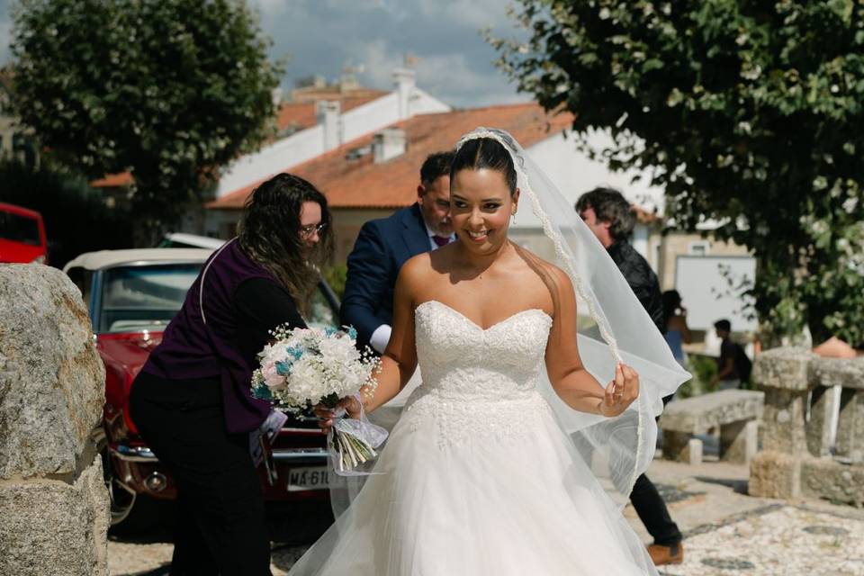 Stephania