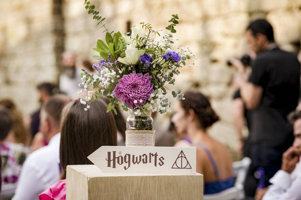 Boda de Harry Potter y Disney