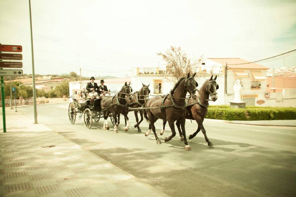 Carruajes Lisardo