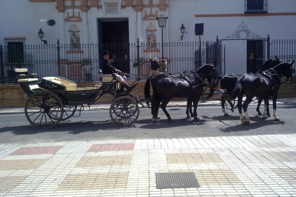 Carruajes Lisardo