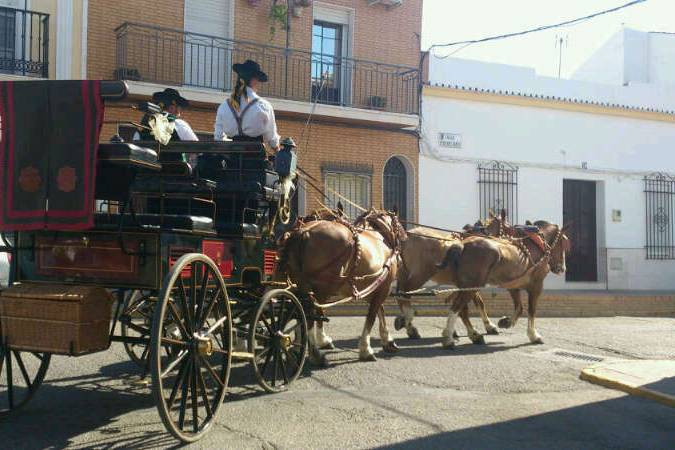 Carruajes Lisardo