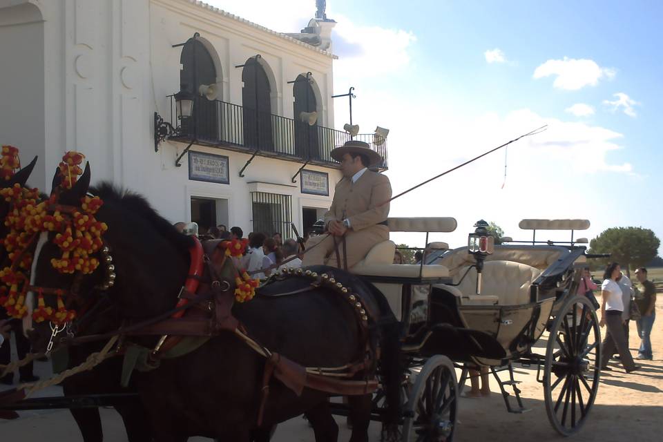 Carruajes Lisardo