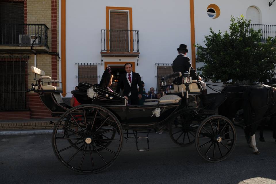 Carruajes Lisardo