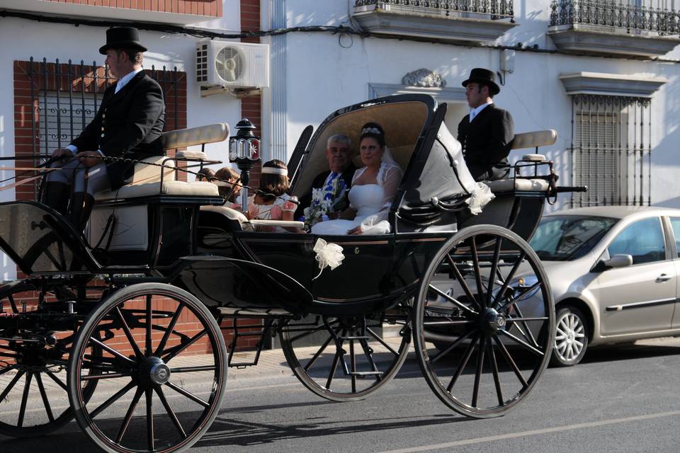 Carruajes Lisardo