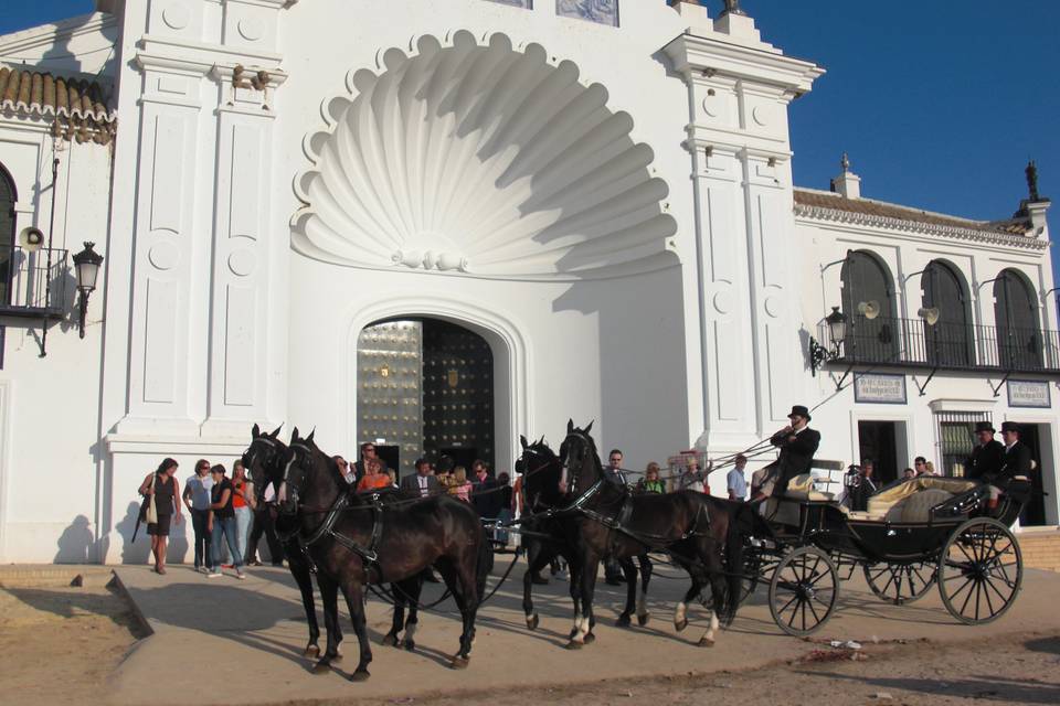 Carruajes Lisardo