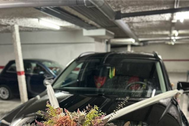 Decoración coche