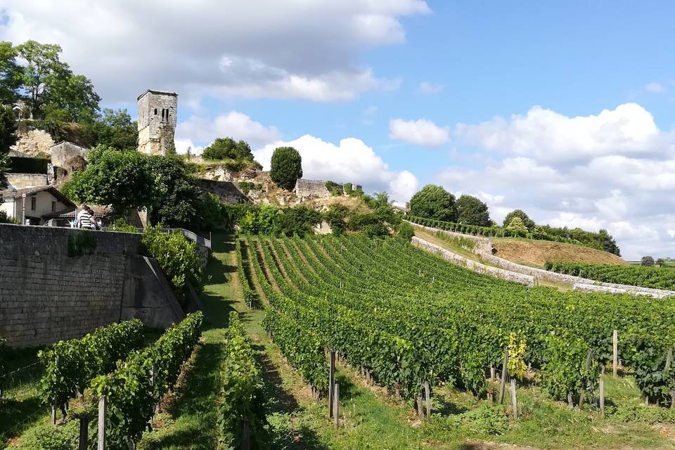 St. Emilion (Francia)