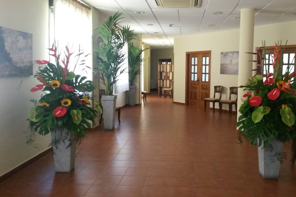 Pasillo de eventos