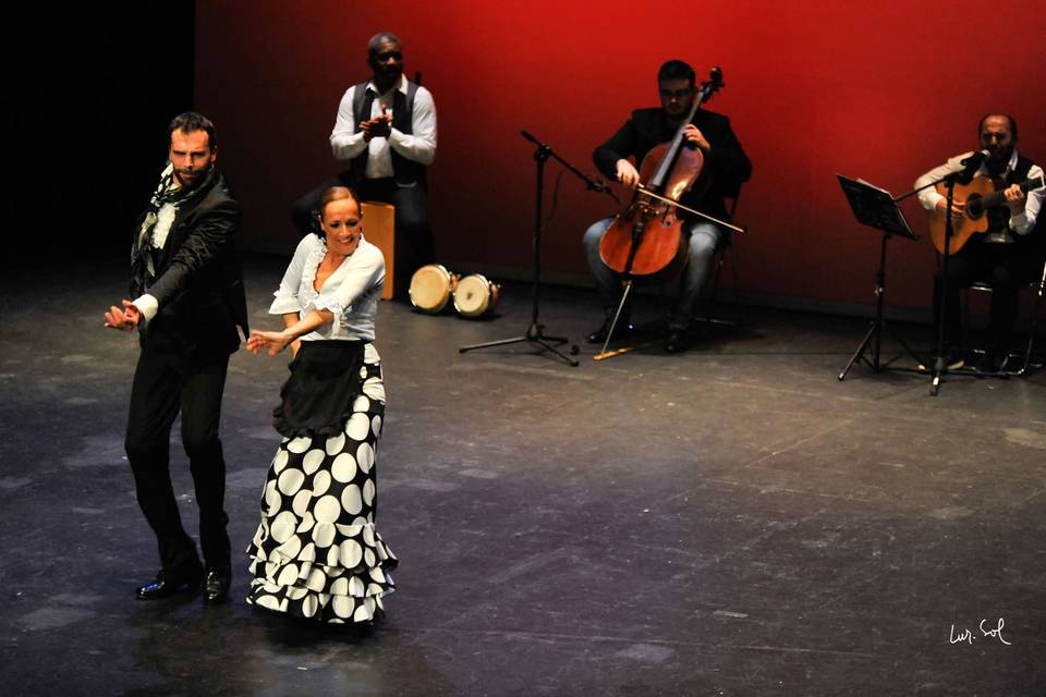 Compañía flamenca francis lige