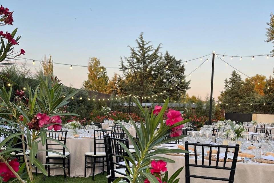 Banquete en exterior