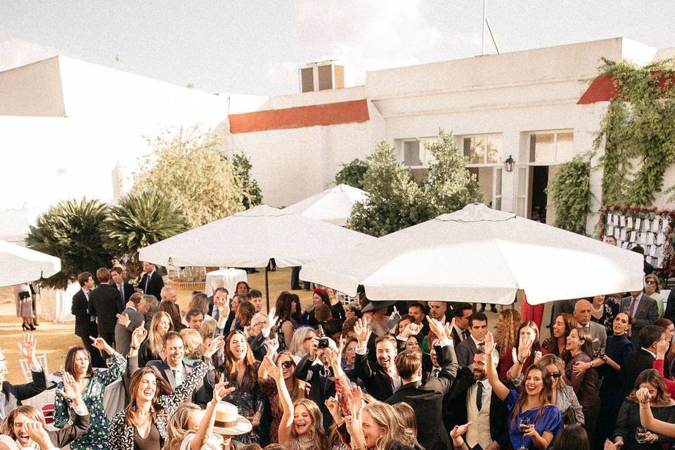 Patio Albero - Fiesta