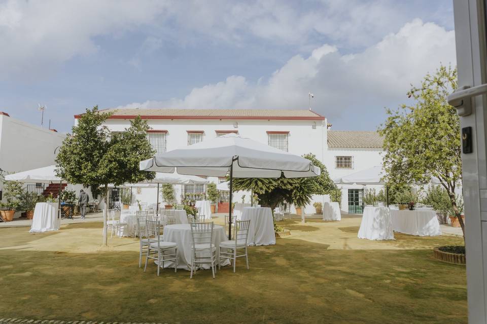 Patio Albero - Montaje 1