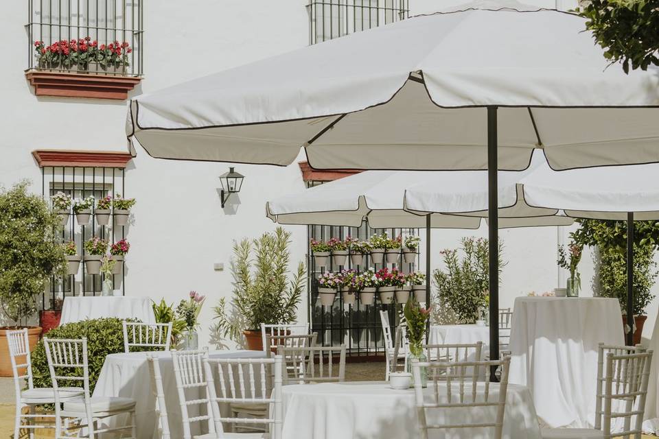 Patio Albero - Montaje 2