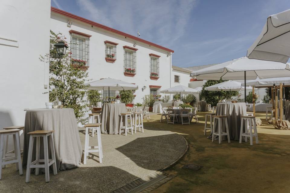 Patio Albero - Montaje