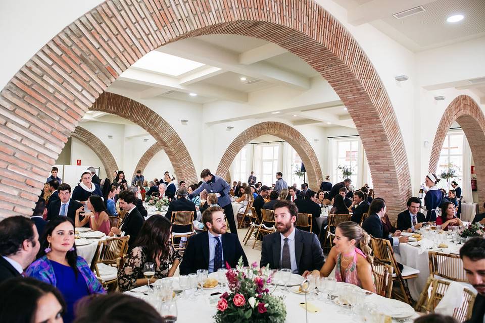 Salón - Invitados