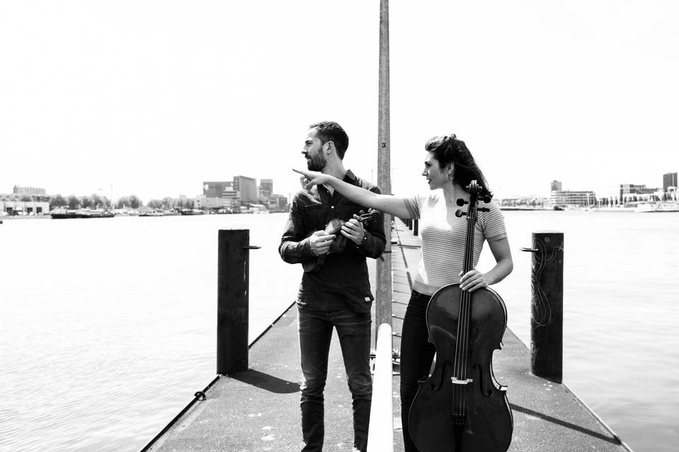 Festival de Rotterdam