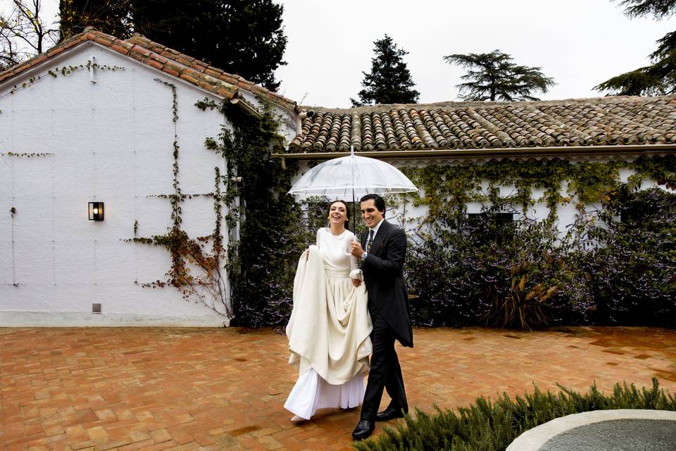 Novios
