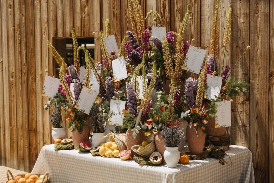 Seating plan especiales