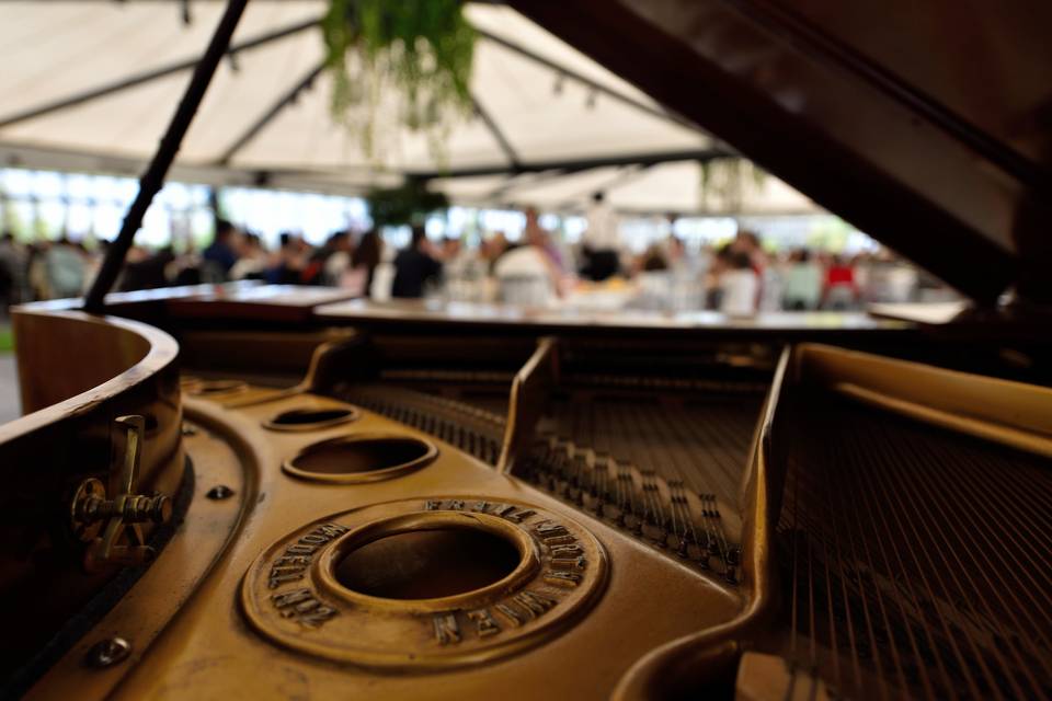 Piano interior