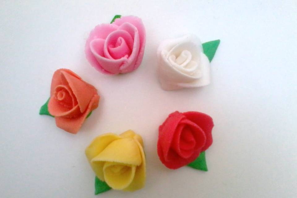 Rosa, varios colores