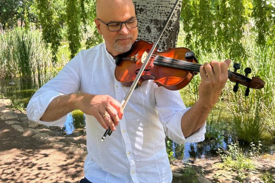 Violinista en Madrid