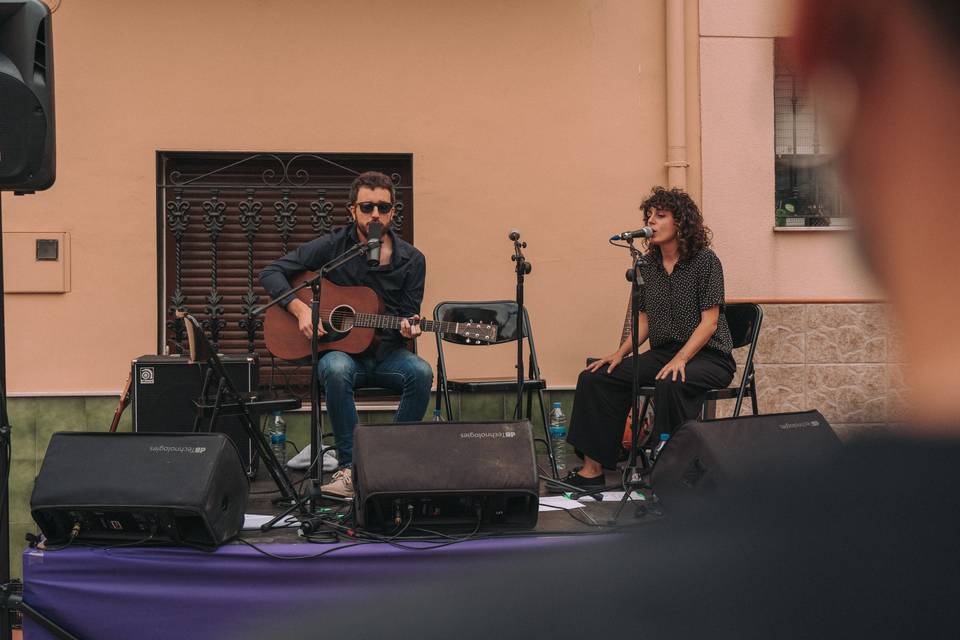 Guitarra y voz