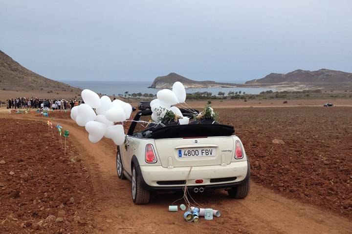 Coche de boda