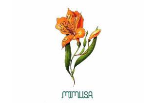 Mimusa Atelier