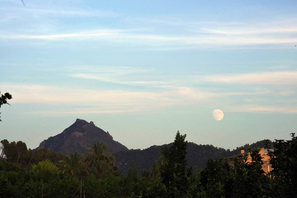 Vistas desde la casa