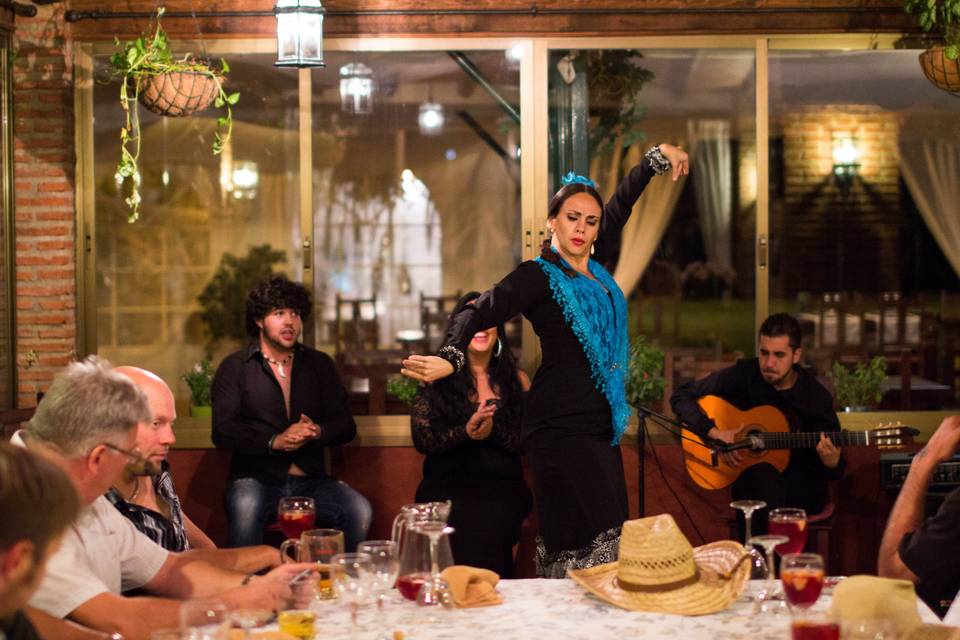 Espectáculo flamenco