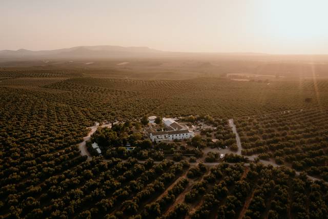 Hacienda Molino Blanco