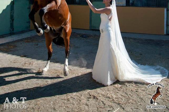 Boda-Novia