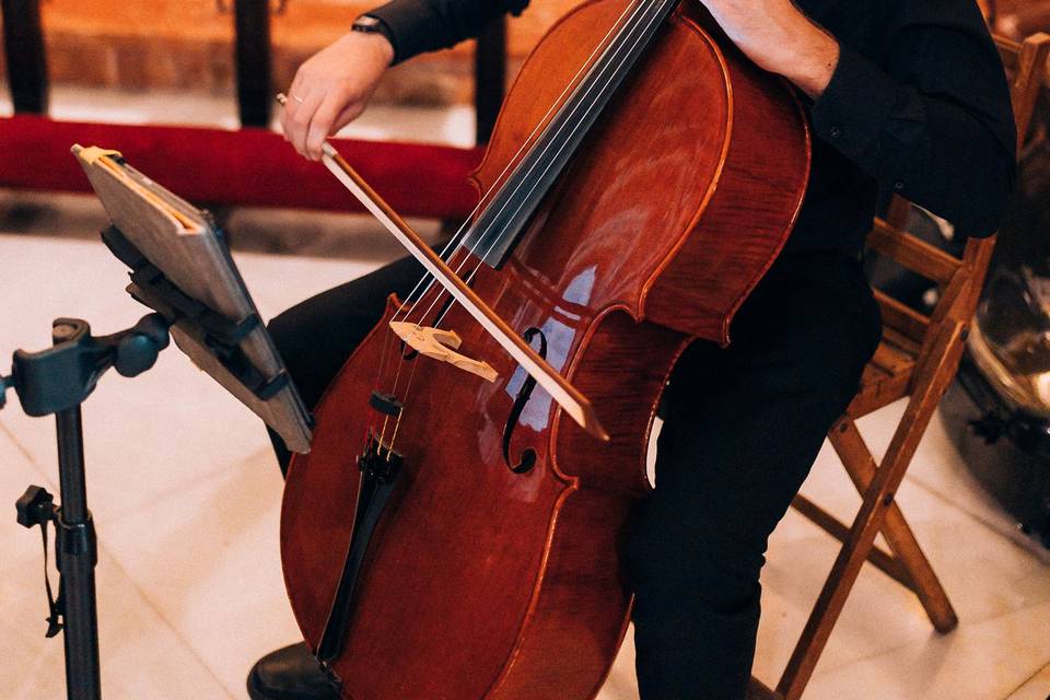 Ponle música