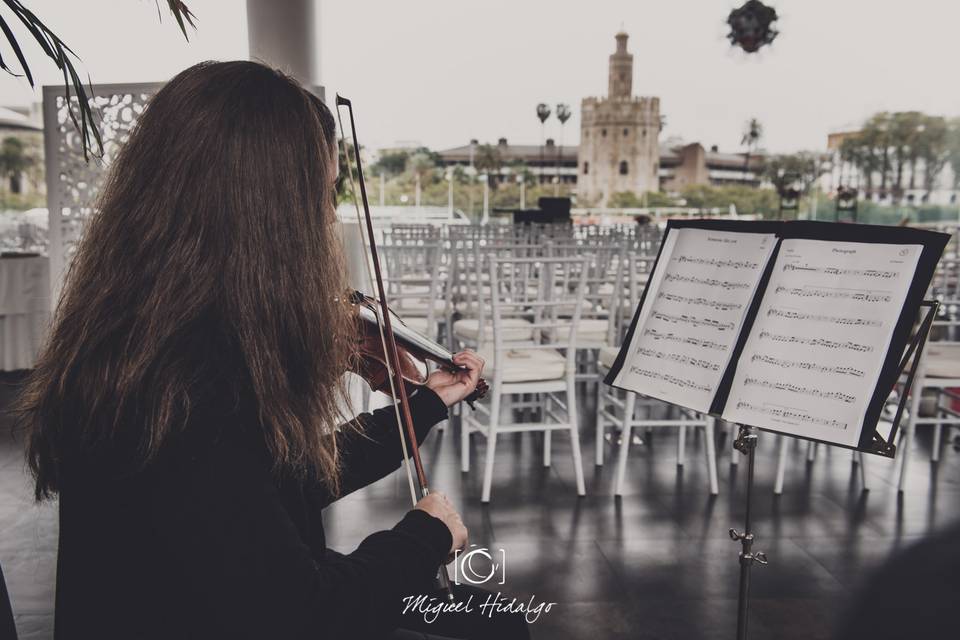 Música para bodas