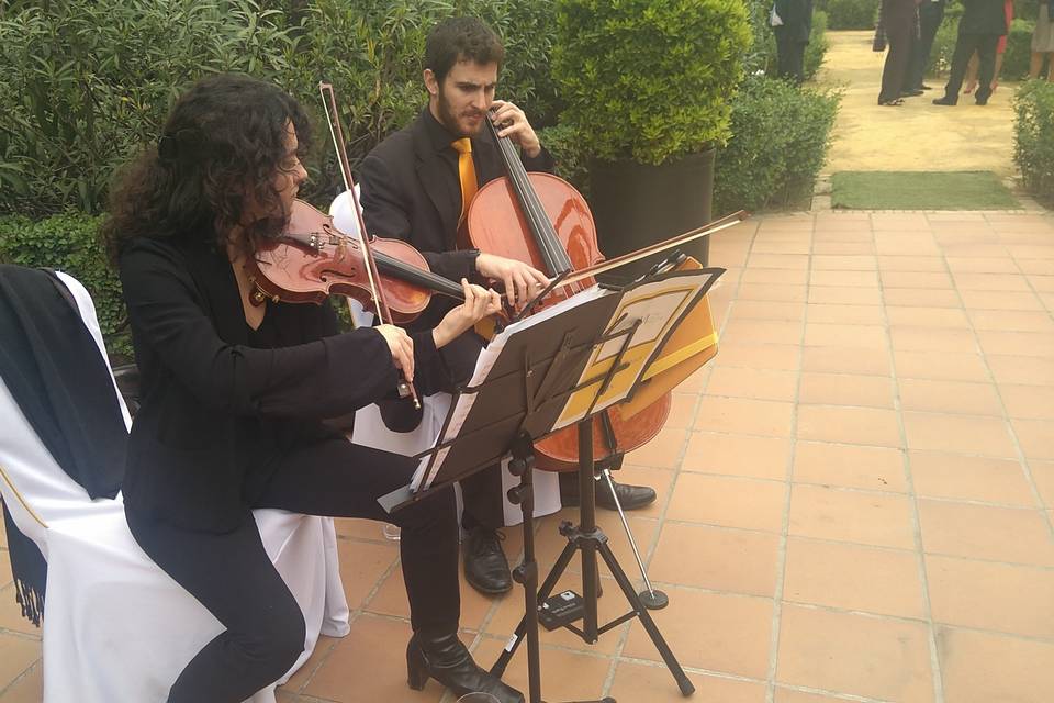 Ponle música