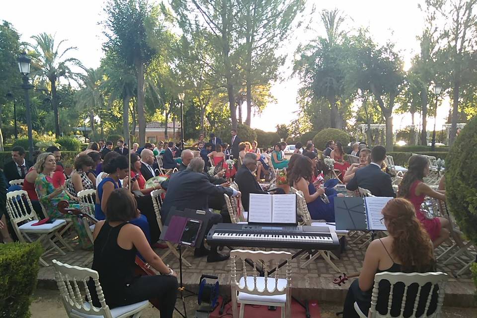 Ponle música