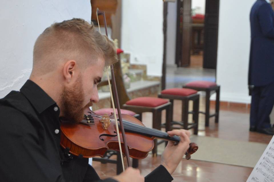 Ponle música