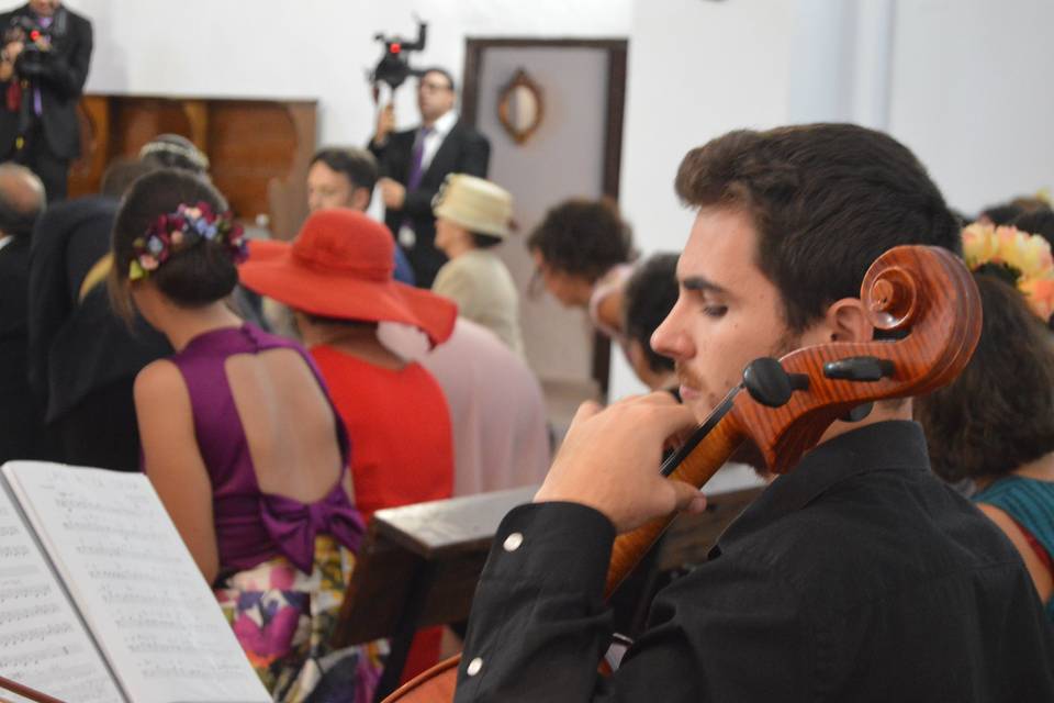 Violonchelo para bodas