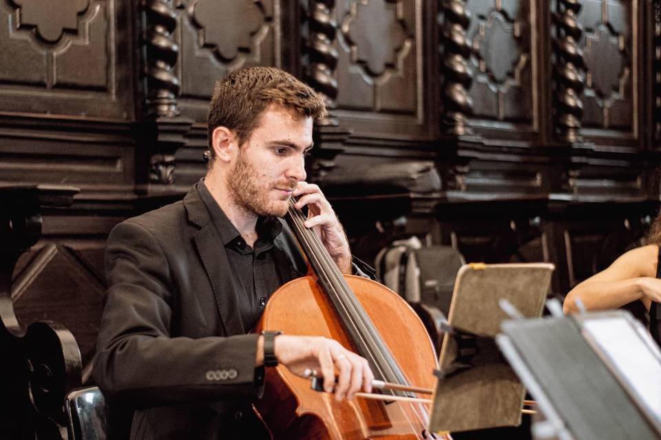 Violonchelo para bodas