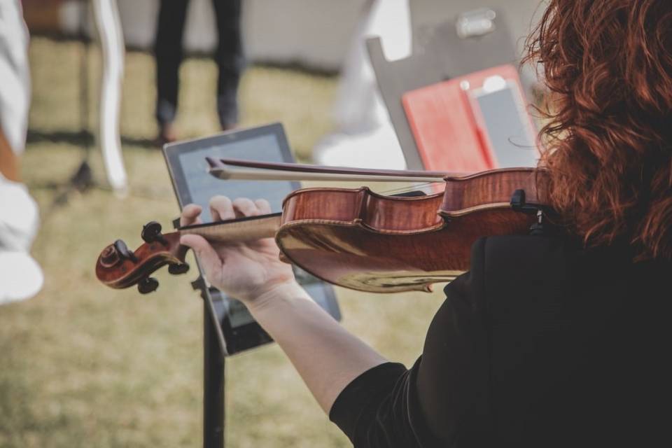 Violín para bodas